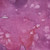 Moda Fabrics Eufloria Create Joy Project 108 Inch Wide Flow Dahlia