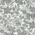 Studio E Fabrics Pen and Ink 118 Inch Wide Quilt Back Floral Black and White