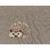 Covington Fabrics Hedgy Stone Embroidered Hedgehogs