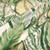 P Kaufmann Fabrics Isla Verde Dill Tropical Leaves