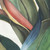 Hamilton Fabrics Calypso Emerald Palm Leaves