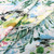 Covington Fabrics Monet Dream Blue Water Lilies
