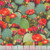 Timeless Treasures Fabrics Southwest Desert Prickly Pear Cactus