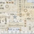 Timeless Treasures Fabrics Star Spangled USA Bill of Rights Natural
