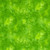 Timeless Treasures Fabrics Kimberly Einmo Solid ish Lime