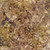 TT B 8214 ASH_main-1.jpg
