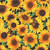 Timeless Treasures Fabrics Advice from a Sunflower Packed Sunflowers & Butterflies Yellow