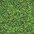 Benartex Fabrics What If ? Paula Nadelstern Brush Green
