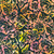 Robert Kaufman Fabrics Butterfly Habitat Artisan Batiks Butterflies Sorbet