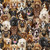 Timeless Treasures Fabrics Pets Packed Dogs Portrait Natural