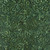 Timeless Treasures Fabrics Xtonga 108 Inch Wide Quilt Back Floral Paisley Green