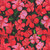 Windham Fabrics Tropical Paradise Black Hibiscus