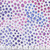 Blank Quilting Fabrics Water Droplets 108 Inch Wide Quilt Back Satin Moon Designs Lilac