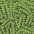 FreeSpirit Fabrics Kaffe Fassett and Morris & Co Branches Black