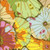 Free Spirit Fabrics Kaffe Fassett Classics Lotus Leaf Jade