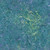 Timeless Treasures Paradise Tonga Batiks Fans Eden