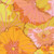 Free Spirit Fabrics Kaffe Fassett Classics Lotus Leaf Yellow