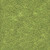 In the Beginning Fabrics On The Go Textured Leaves Green