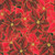 Robert Kaufman Fabrics Holiday Flourish Festive Finery Poinsettias Cranberry