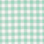 Moda Fabrics Coriander Colors Corey Yoder Aqua Gingham Check