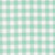 Moda Fabrics Coriander Colors Corey Yoder Aqua Gingham Check
