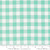 Moda Fabrics Coriander Colors Corey Yoder Aqua Gingham Check
