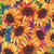 Timeless Treasures Fabrics Sundance Multi Packed Sunflowers