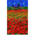 Timeless Treasures Fabrics Poppy Dreams Multi Poppies Field Panel