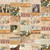 FreeSpirit Fabrics Orange Palette by Tim Holtz Orange Collage Orange