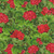 Timeless Treasures Fabrics Scarlet Beauty Green Geranium Floral