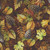 Timeless Treasures Fabrics Woodland Retreat Autumn Autumn Packed Fall Leaves