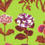 Free Spirit Fabrics Kaffe Fassett Collective February 2025 Flower Studies Lime
