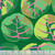Free Spirit Fabrics Kaffe Fassett Collective February 2025 Palm Leaves Green