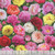 Elizabeth's Studios Fabrics Burst Of Color Multi Pink Peonies