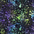 Timeless Treasures Fabrics Tonga Batiks Royalty Jewel Blue Green Purple Water Painted Floral