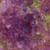 Island Batik Fabrics Butterfly Haven Dandelion Multi Purple Yellow