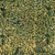 Island Batik Fabrics Paradise Palms Coral Green Spinach