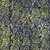 Timeless Treasures Fabrics Amber Tonga Batiks Storm Jungle