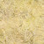 Timeless Treasures Fabrics Forest Floor Tonga Batiks Moon Fern
