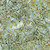 Timeless Treasures Fabrics Forest Floor Tonga Batiks Stem Jungle Bloom