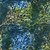 Timeless Treasures Fabrics Forest Floor Tonga Batiks Grove Autumn Leaves