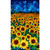 Timeless Treasures Fabrics Sunflower Symphony Multi Sunflower Field Panel 24 Inch