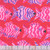 FreeSpirit Fabrics Kaffe Fassett Collective August 2025 by Brandon Mably Minnows Red