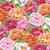 FreeSpirit Fabrics Kaffe Fassett Collective August 2025 by Philip Jacobs Tibetan Peony Warm