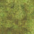 In The Beginning Fabrics Halcyon Painters Texture Moss Green