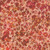 In The Beginning Fabrics Allure Jason Yenter Red Blooming Floral Berry Vine