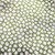 Hamilton Fabrics Torrey Clover Green Irregular Velvet Chenille Dots