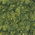 Island Batik Fabrics Forest Flora Deb Tucker Mushroom Time Green Frog