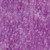 Island Batik Fabrics Meadow Hues Floral Vine Purple Jelly