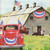 Studio E Fabrics Liberty Barn Gwendolyn Babbitt Country Barns with Flags Panel